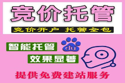 探究某某SEM公司如何通过精准投放实现销售增长