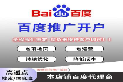 SEM代运营案例分析：精准投放策略解析